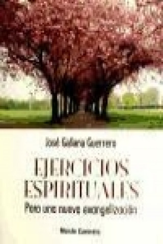 Kniha Ejercicios espirituales : para una nueva evangelización José Galiana Guerrero