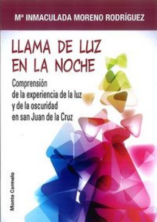 Buch Llama de luz en la noche 