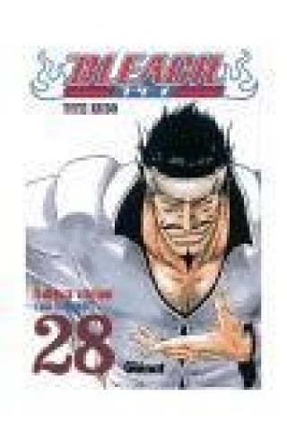 Kniha Bleach 28 