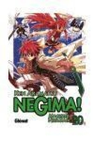 Kniha Negima! Magister Negi Magi 20 