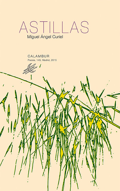 Boek Astillas Curiel Núñez
