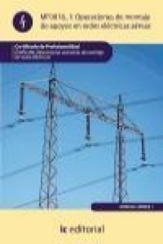 Kniha Operaciones de montaje de apoyos en redes eléctricas aéreas : operaciones auxiliares de montaje de redes eléctricas José Manuel Sánchez Moncayo