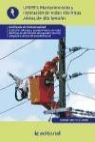 Kniha Mantenimiento de redes eléctricas aéreas de alta tensión : montaje y mantenimiento de redes eléctricas de AT de 2 y 3 categoría y centros de transform José Gustavo Jiménez Pérez