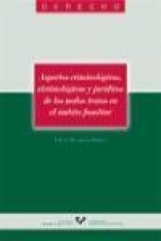 Книга Aspectos criminológicos, victimológicos y jurídicos de los malos tratos en el ámbito familiar Virginia Mayordomo Rodrigo