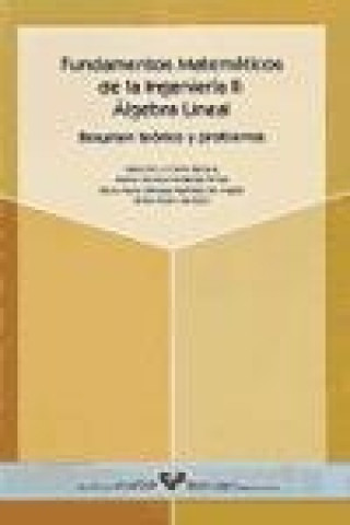 Könyv Fundamentos matemáticos de la ingeniería II : álgebra lineal. Resumen teórico y problemas María Blanca Beitia Bengoa