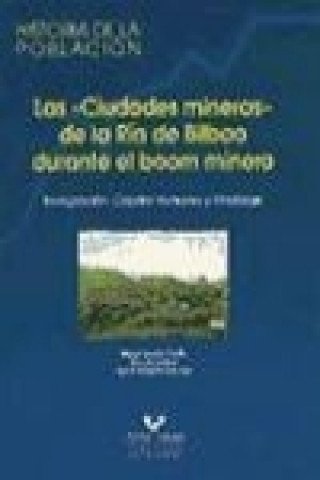 Könyv Las "ciudades mineras" de la ría de Bilbao durante el boom minero : inmigración, capital humano y mestizaje Rocío García Abad