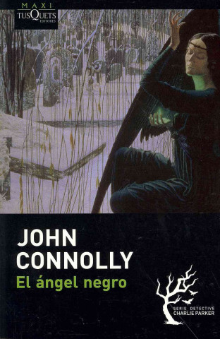 Kniha El ángel negro John Connolly