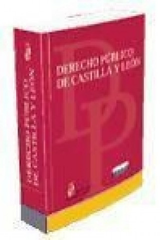 Kniha Derecho público en Castilla y León Ignacio Sáez Hidalgo