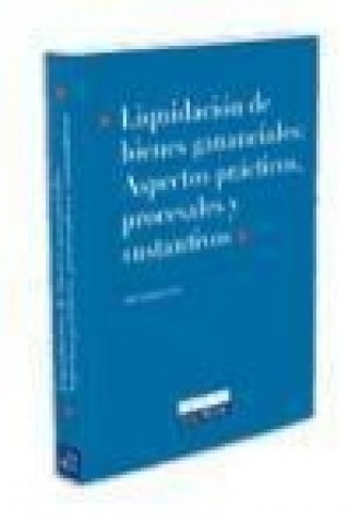 Книга Liquidación de bienes gananciales : aspectos prácticos, procesales y sustantivos 