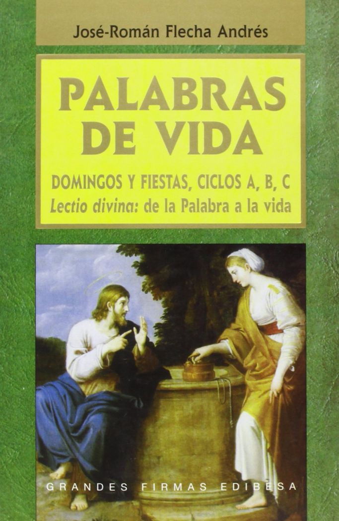Kniha Palabras de vida : domingos y festivos, ciclos A, B, C José Román Flecha