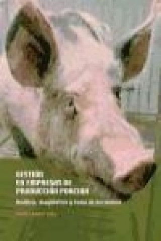 Carte Gestión en empresas de producción porcina : análisis, diagnóstico y toma de decisiones 