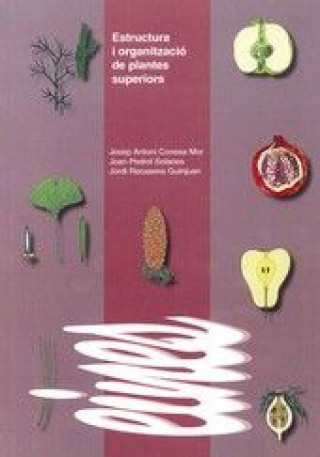 Carte Estructura i organització de plantes superiors J. A. Conesa i Mor