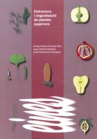 Book Estructura i organització de plantes superiors J. A. Conesa i Mor