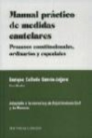 Buch Manual práctico de medidas cautalares 