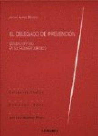 Книга El delegado de prevención Antonio Álvarez Montero