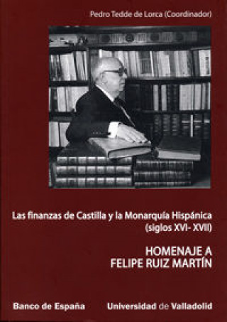 Könyv Las finanzas de Castilla y la monarquía hispánica (siglos XVI-XVII) : homenaje a Felipe Ruiz Martín 