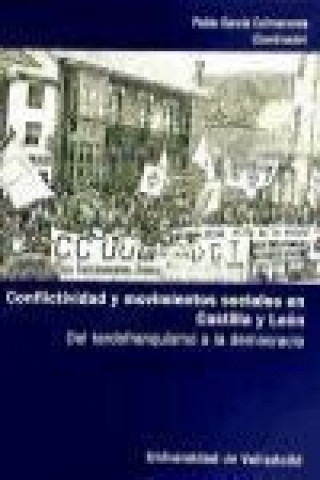 Buch CONFLICTIVIDAD Y MOVIMIENTOS SOCIALES EN CASTILLA Y LEON 