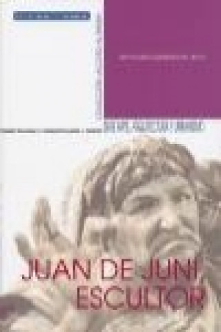 Buch Juan de Juni, escultor María Antonia Fernándes del Hoyo