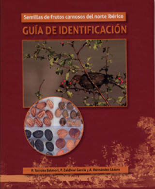 Kniha Semillas de frutos carnosos del Norte ibérico : guía de identificación Ángel Hernández Lázaro