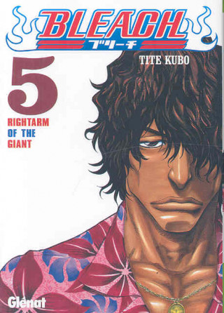 Knjiga Bleach 05 Tite Kubo