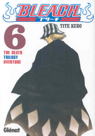 Kniha Bleach 06 Tite Kubo