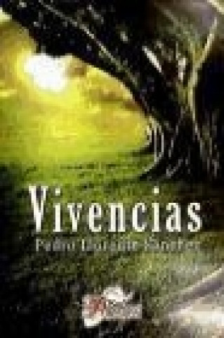 Buch Vivencias Pedro Llorente Sánchez