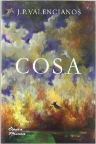 Könyv Cosa José Payá Alberola