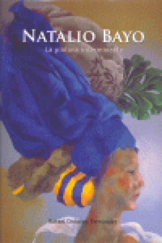 Libro La pintura interminable Natalio Bayo
