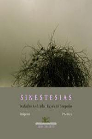 Kniha Sinestesias Reyes de Gregorio Folache