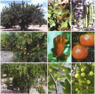 Carte Tratado de fruticultura para zona áridas y semiáridas : algarrobo, granado y jinjolero Pablo Melgarejo Moreno