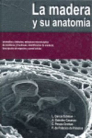 Kniha La madera y su anatomía Luis García Esteban