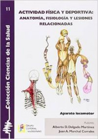 Kniha Actividad física y deportiva, anatomía, fisiología y lesiones relacionadas Alberto Damián Delgado Martínez