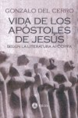 Könyv La vida de los apostoles de Jesus 