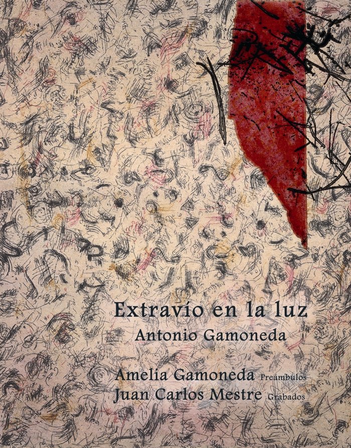 Buch Extravío en la luz Antonio Gamoneda