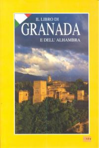 Book Ver y comprender Granada 