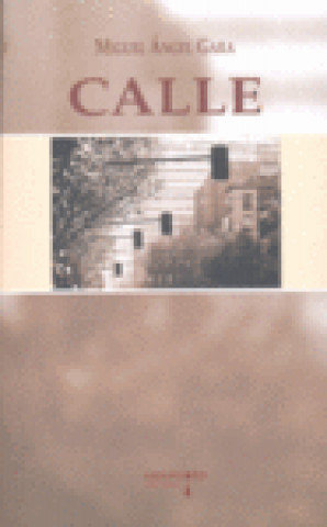 Könyv Calle Miguel Ángel Gara