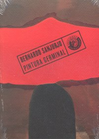 Książka Bernardo Sanjurjo, Pintura germinal Bernardo Sanjurjo Castro
