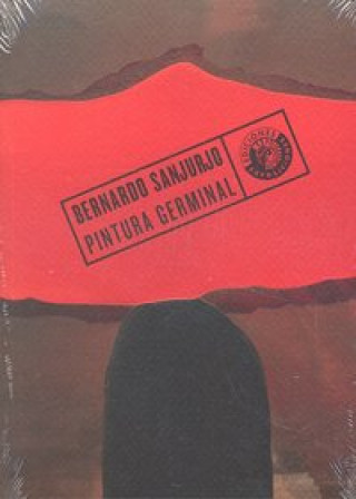 Book Bernardo Sanjurjo, Pintura germinal Bernardo Sanjurjo Castro