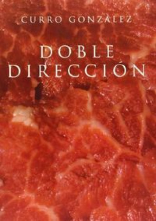 Buch Doble dirección Francisco González Giménez