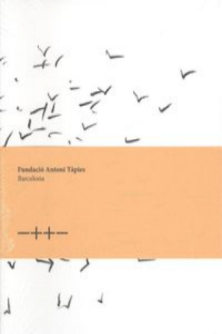 Könyv Fundacio Antoni Tapies : Barcelona 