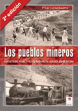 Kniha Los pueblos mineros : conflictividad social y política municipal en la cuenca minera vizcaína Pilar Leseduarte Gil