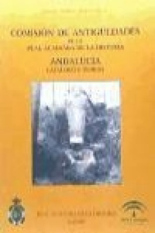 Kniha Comisión de Antigüedades de la Real Academia de la Historia. Andalucía : catálogo e índices Jorge Maier Allende