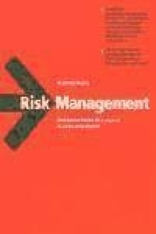 Kniha Risk management de las empresas en la nueva economía Francesc Rosés Martí