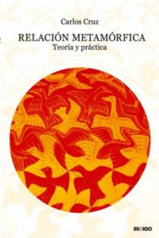 Libro Relación metamófica : teoría y práctica Carlos Cruz Leplat