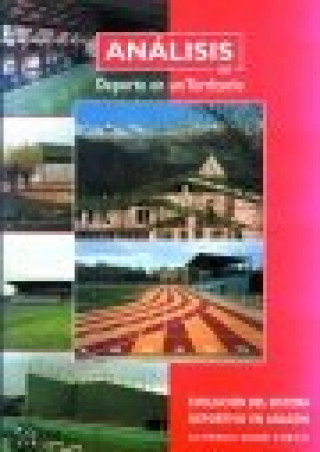 Könyv Análisis del deporte en un territorio : evolución del sistema deportivo en Aragón (1984-1994) Alfredo Boné Pueyo