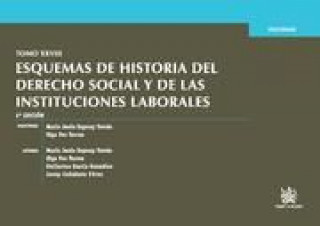 Kniha Tomo XXVIII, esquemas de historia del derecho social y de las instituciones laborales María Jesús Espuny Tomas