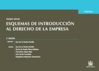 Könyv Esquemas de introducción al derecho de la empresa, XXVII María de . . . [et al. ] Sande Pérez-Bedmar