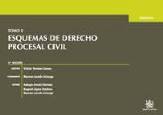 Kniha Esquemas de derecho procesal civil II Amaya Arnaiz Serrano