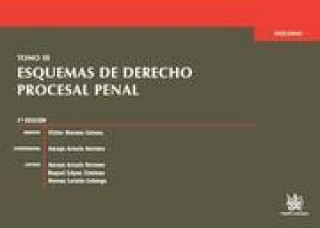 Kniha Esquemas de derecho procesal penal III Amaya Arnaiz Serrano