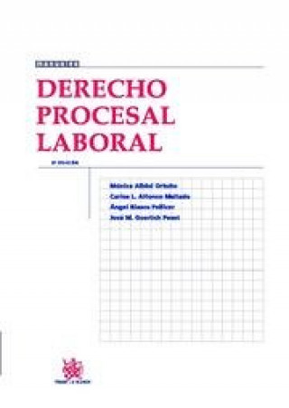 Kniha Derecho procesal laboral 